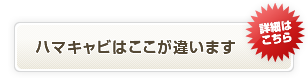 ハマキャビはここが違います